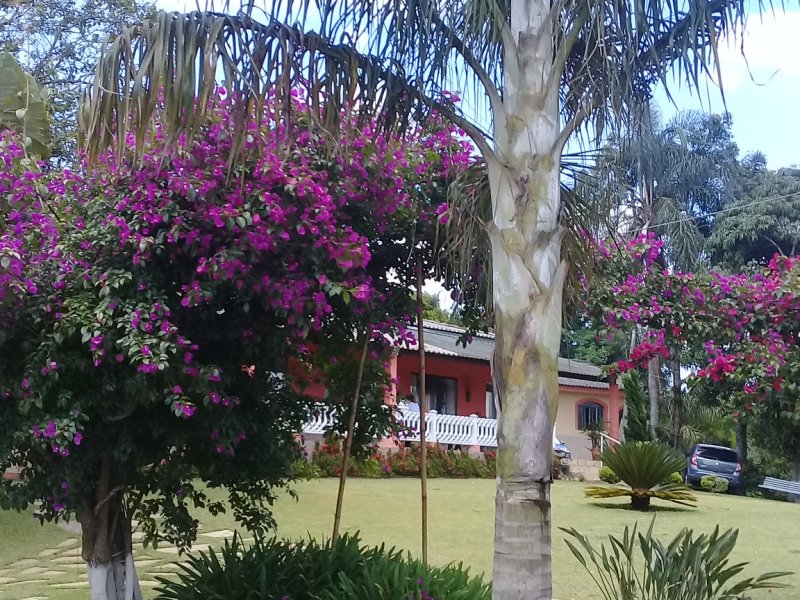 Chácara à venda Recreio Bela Vista com 9m² e 2 quartos por R$ 1.400.000 - 1580299211-20191117-102326.jpg