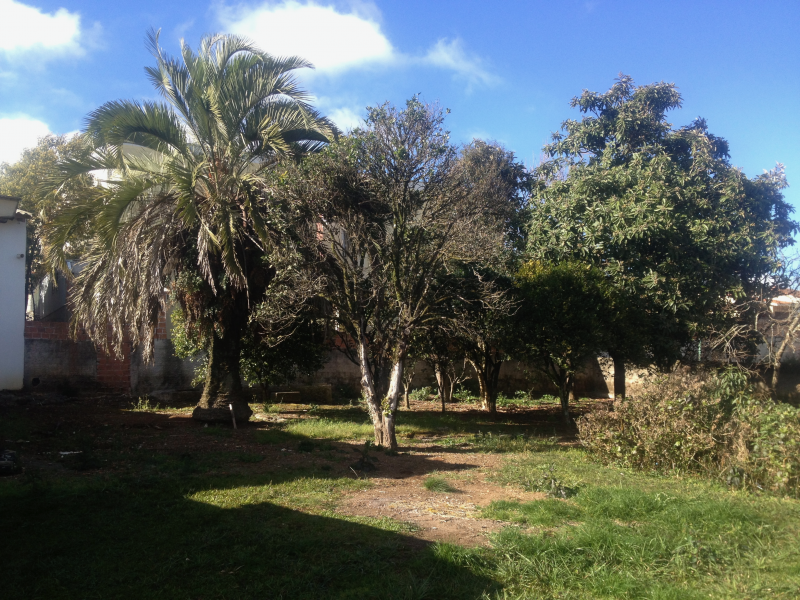 Terreno à venda Centro com 1350m² e  quartos por R$ 850.000 - 1354604216-img-4324.png