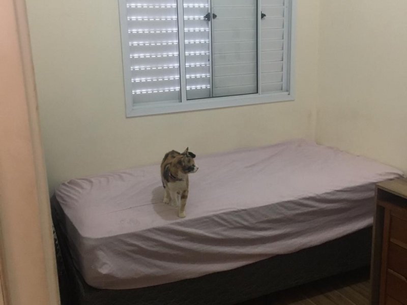 Casa de condomínio à venda Jardim dos Ipes com 80m² e 3 quartos por R$ 450.000 - 1479265320-whatsapp-image-2020-06-17-at-15.jpeg