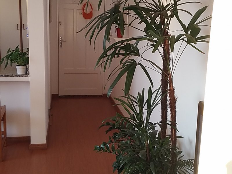 Apartamento à venda Nova América com 45m² e 1 quarto por R$ 160.000 - 2078245318-p-20200924-174730.jpg