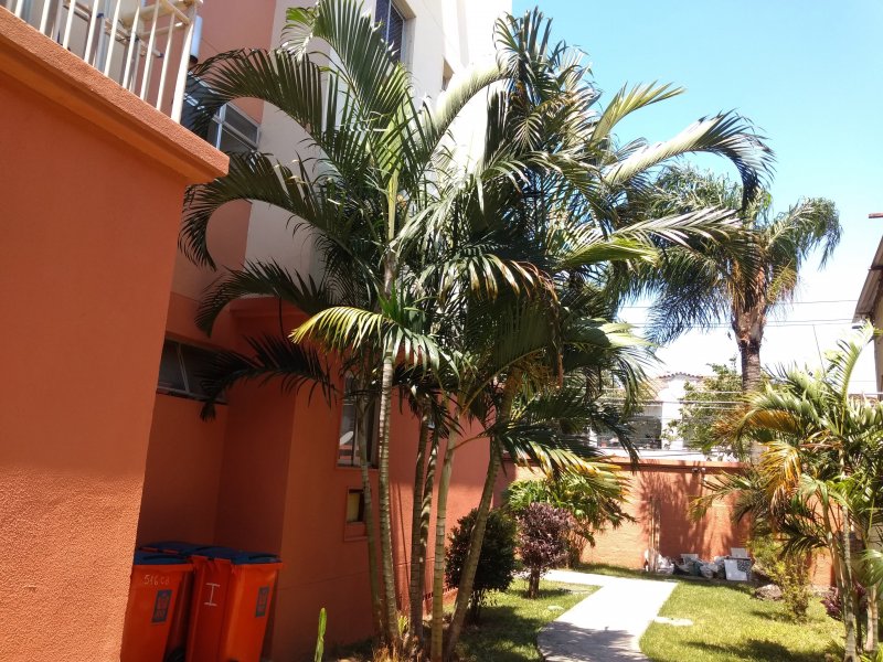 Apartamento à venda Campinho com 50m² e 2 quartos por R$ 230.000 - 1206707307-img-20200927-111804560.jpg