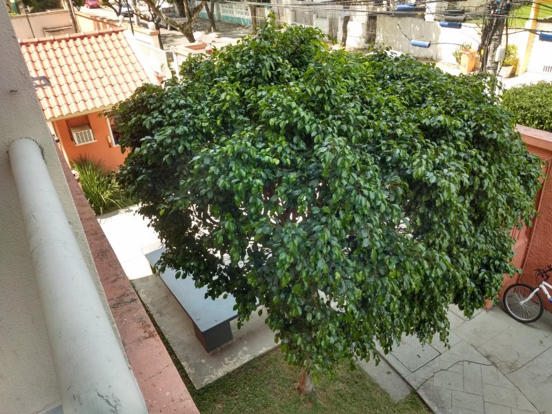 Apartamento à venda Campinho com 50m² e 2 quartos por R$ 230.000 - 1225760040-img-20200926-103022753-hdr.jpg