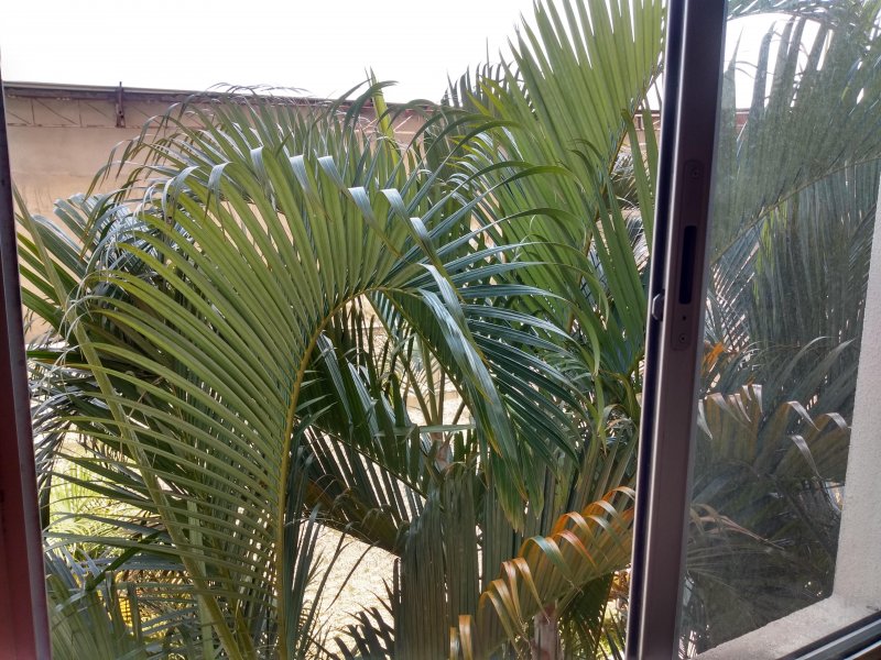 Apartamento à venda Campinho com 50m² e 2 quartos por R$ 230.000 - 1989231054-img-20200926-103309741-hdr.jpg