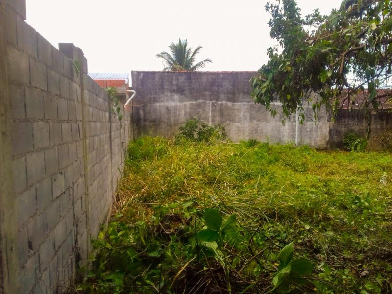 Terreno à venda Balneário Gaivotas com 350m² e  quartos por R$ 90.000.000 - 1278103751-whatsapp-image-2020-09-30-at-12.jpeg