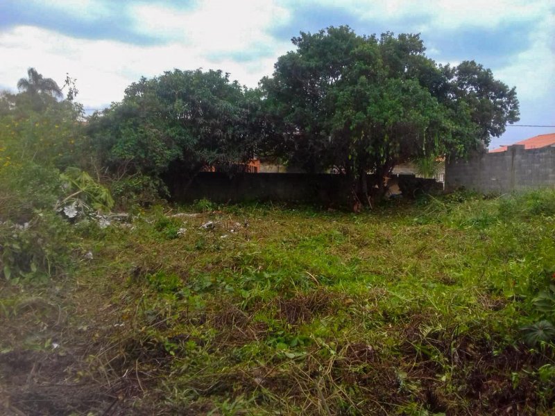 Terreno à venda Balneário Gaivotas com 350m² e  quartos por R$ 90.000.000 - 941526339-whatsapp-image-2020-09-30-at-12.jpeg