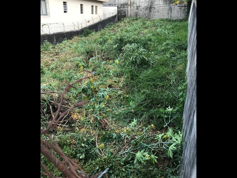 Terreno à venda Adalgisa com 250m² e  quartos por R$ 310.000 - 1619687339-terreno-osasco.jpg