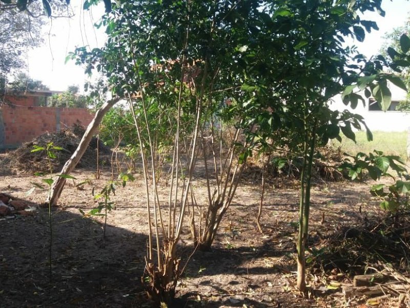 Terreno à venda São João do Rio Vermelho com 362m² e 1 quarto por R$ 180.000 - 188926351-30d2587d-f612-49b3-8e5f-f391bcf24db6.jpg
