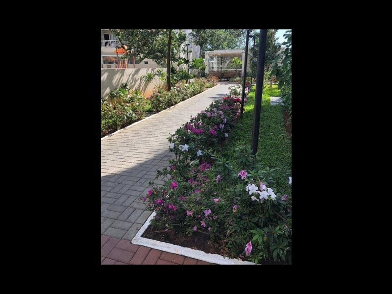 Apartamento à venda Vila Itapegica com 74m² e 2 quartos por R$ 350.000 - 702840681-674009183062415.jpg