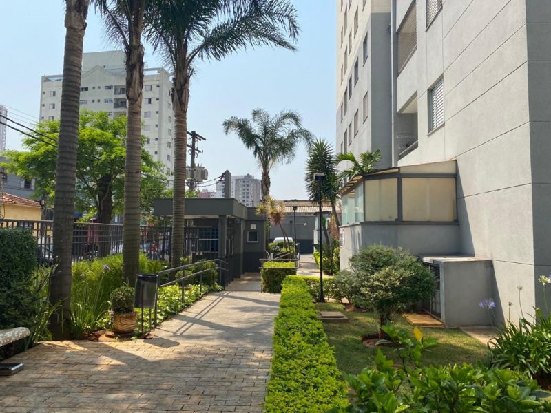 Apartamento à venda Sacomã com 50m² e 2 quartos por R$ 320.000 - 1669977216-whatsapp-image-2020-10-02-at-14.jpeg