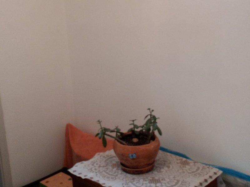 Apartamento à venda Bosque da Saúde com 62m² e 2 quartos por R$ 417.000 - 181177567-quarto3-amb.jpg