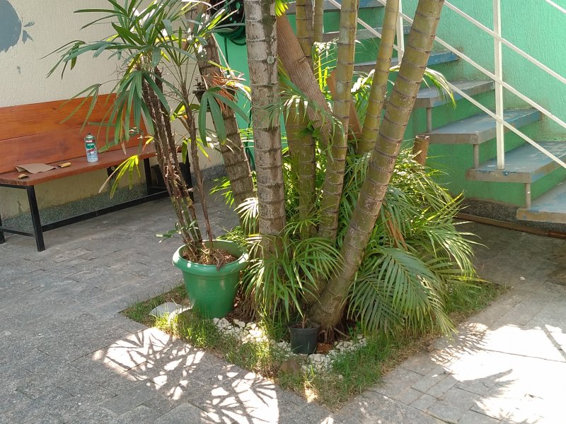 Casa à venda Vila dos Pinheiros com 195m² e 5 quartos por R$ 650.000 - 641133235-img-20200908-120203-1.jpg