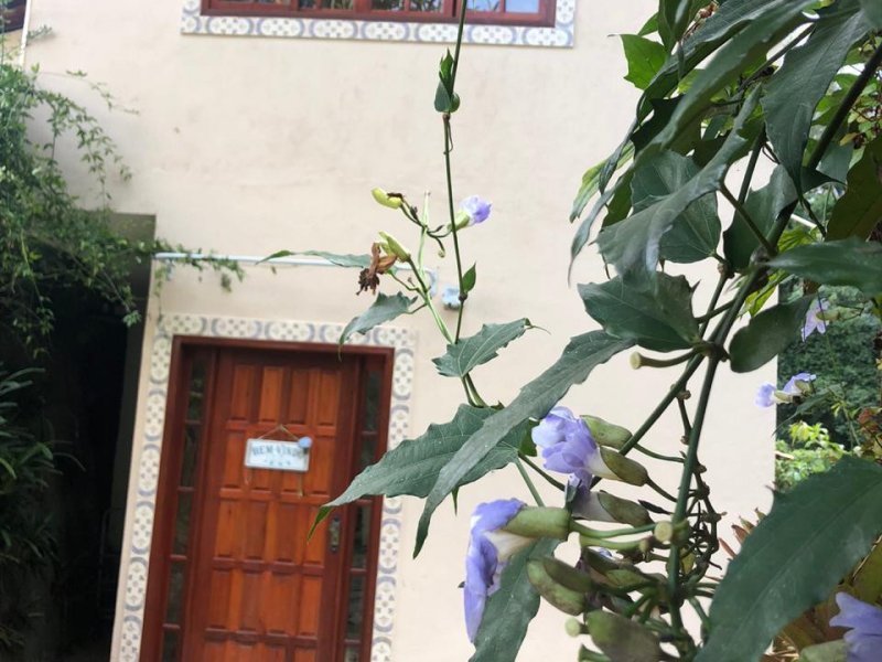 Casa à venda Quebra Frascos com 400m² e 4 quartos por R$ 950.000 - 1083194424-06.jpg