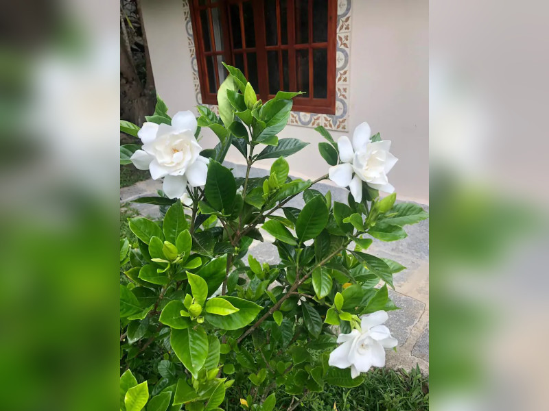 Casa à venda Quebra Frascos com 400m² e 4 quartos por R$ 950.000 - ed6d9429-1f93-40db-91e2-4bc3d45c978e.jpg
