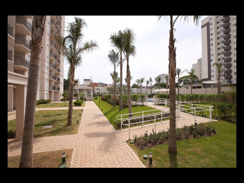 Apartamento à venda Vila Antonieta com 50m² e 2 quartos por R$ 350.000 - 442052211-coqueiros.jpg