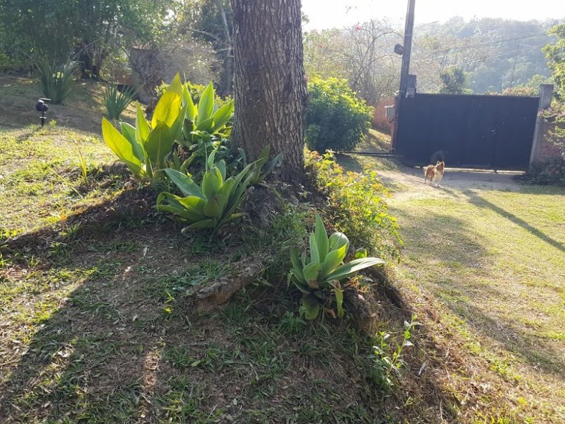 Chácara à venda Cachoeira com 2500m² e 2 quartos por R$ 499.900 - 1463967359-20170919-162106.jpg