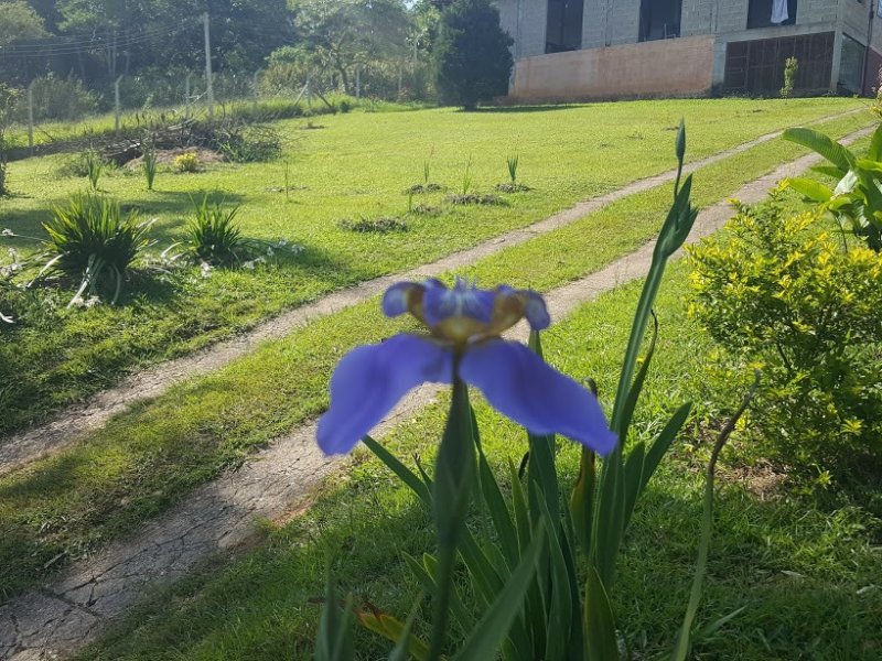 Chácara à venda Cachoeira com 2500m² e 2 quartos por R$ 499.900 - 1969852403-20161109-092645.jpg