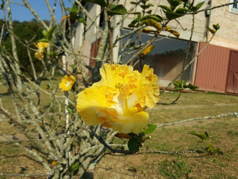 Chácara à venda Cachoeira com 2500m² e 2 quartos por R$ 499.900 - 2058362774-20170919-161300.jpg