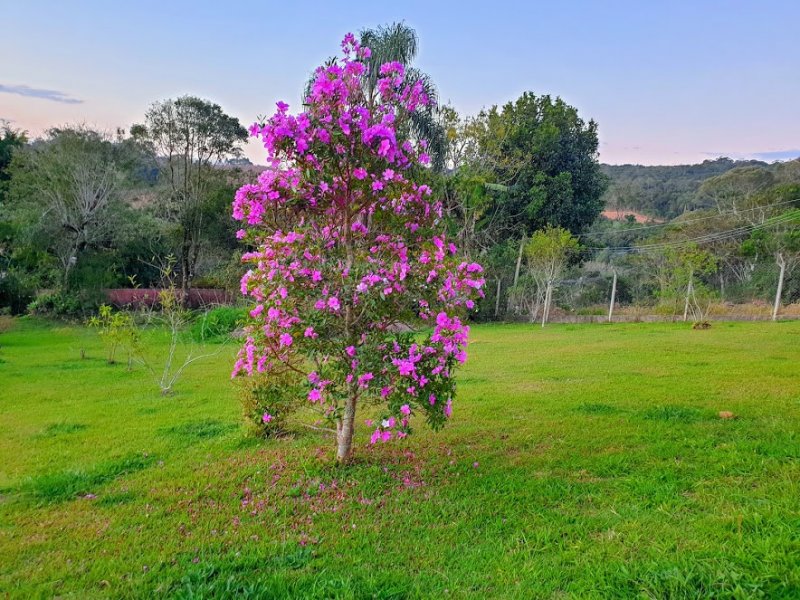 Chácara à venda Cachoeira com 2500m² e 2 quartos por R$ 499.900 - 909912954-20200728-174937-effects.jpg