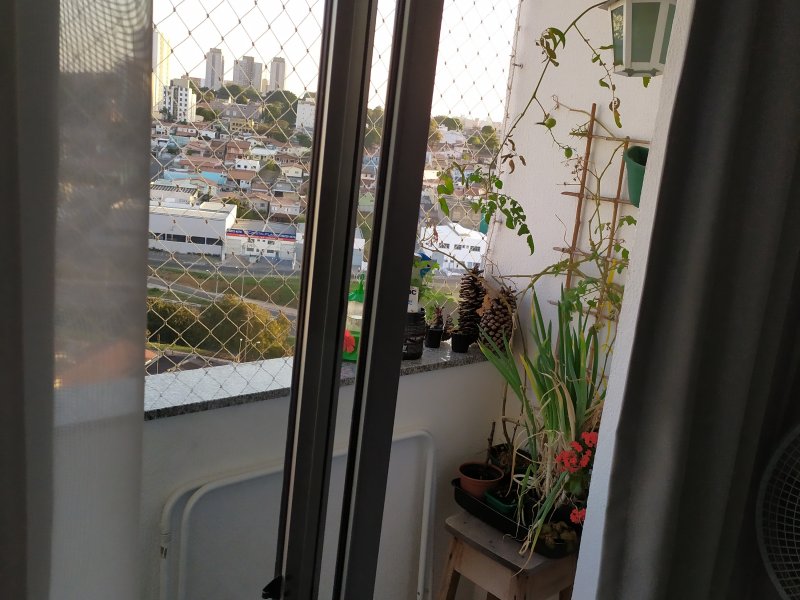 Apartamento à venda Jardim Dom Vieira com 58m² e 3 quartos por R$ 300.000 - 1195709236-sala-sacada-2.jpg