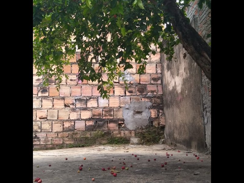 Casa à venda japiim com 300m² e 3 quartos por R$ 210.000 - 1453235000-6c87a50a-660c-4318-8589-2fcd9e28e57a.jpg