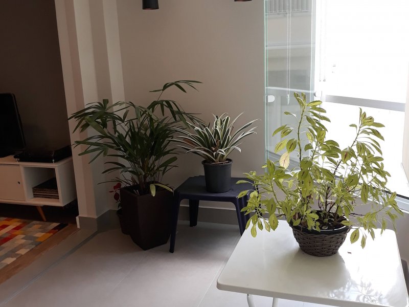 imóvel com 77m² - Vila Caminho do Mar - São Bernardo do Campo