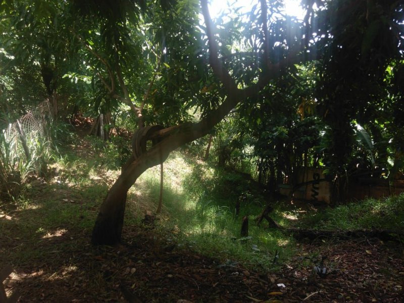 Casa à venda Vila Santa Rita com 730m² e 3 quartos por R$ 550.000 - 639884778-956a1170-c9c0-4526-90d8-f5a9bc7d3e4b.jpg