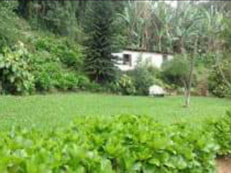 Casa à venda Caxambu com 2544m² e 4 quartos por R$ 600.000 - 428927615-screenshot-20201007-002044-facebook.jpg