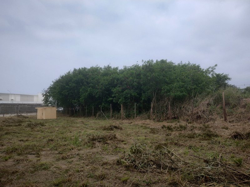 Terreno à venda Parque Sarapuí com 1400m² e 1 quarto por R$ 950.000 - 2090355767-img-20221012-122655596-hdr.jpg