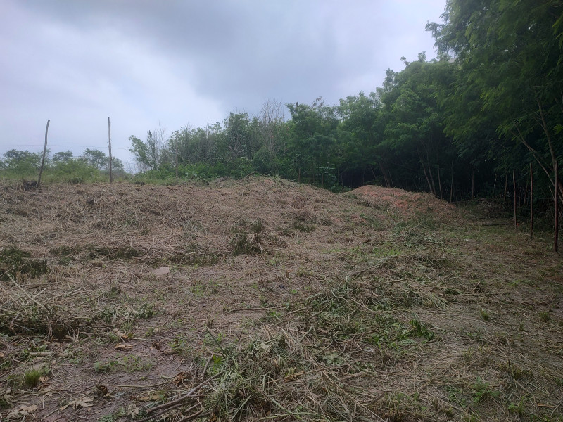 Terreno à venda Parque Sarapuí com 1400m² e 1 quarto por R$ 950.000 - 669830843-img-20221012-122651097-hdr.jpg