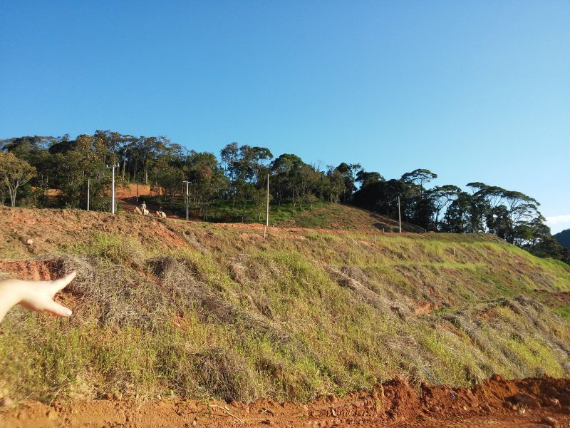 imóvel com 452m² - Centro - São Pedro de Alcântara