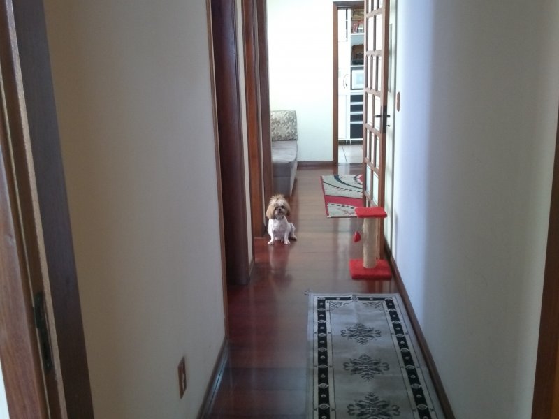 Cobertura à venda Jardim Itu-Sabará com 180m² e 4 quartos por R$ 550.000 - 779116311-img-20190221-104518120.jpg