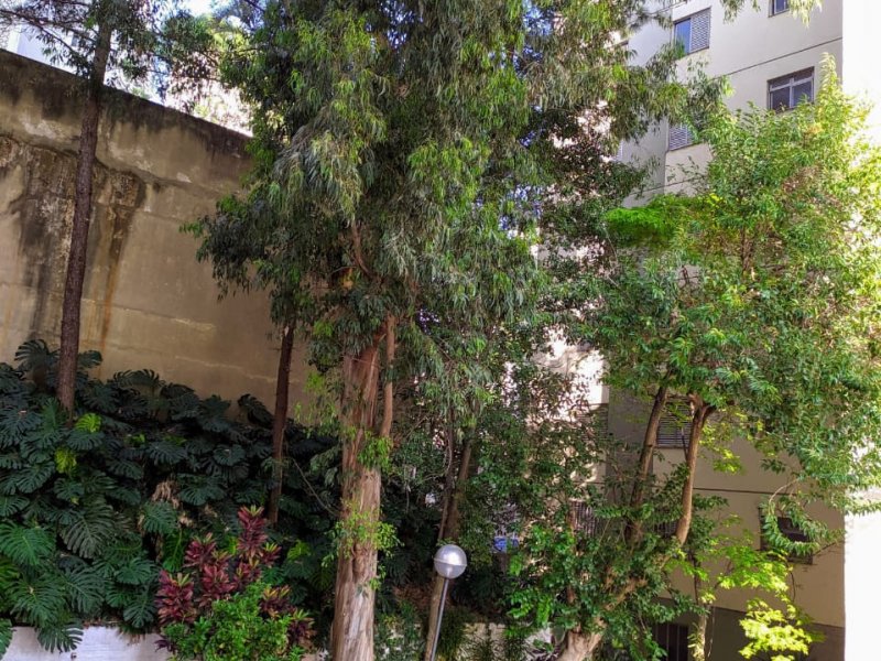 Apartamento à venda Vila Monumento com 57m² e 2 quartos por R$ 400.000 - 111670969-photo-2020-09-25-09-09-06-1.jpg