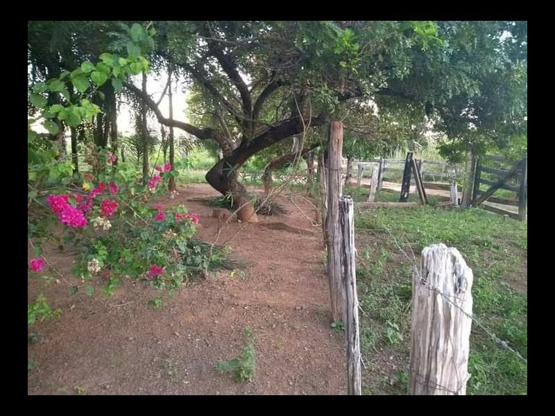 Chácara à venda 500 mts da BR158 com 2600000m² e 1 quarto por R$ 5.000.000 - 1143694453-470ca9b6-74b3-467c-9d70-b97f64956809.jpg