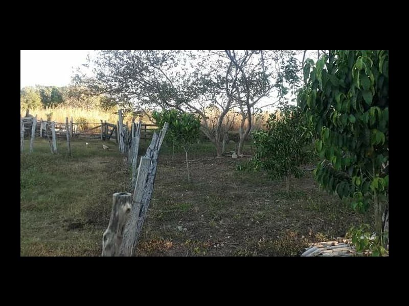 Chácara à venda 500 mts da BR158 com 2600000m² e 1 quarto por R$ 5.000.000 - 131301688-7b0df24f-c713-4205-adce-a3dda3af5d1a.jpg