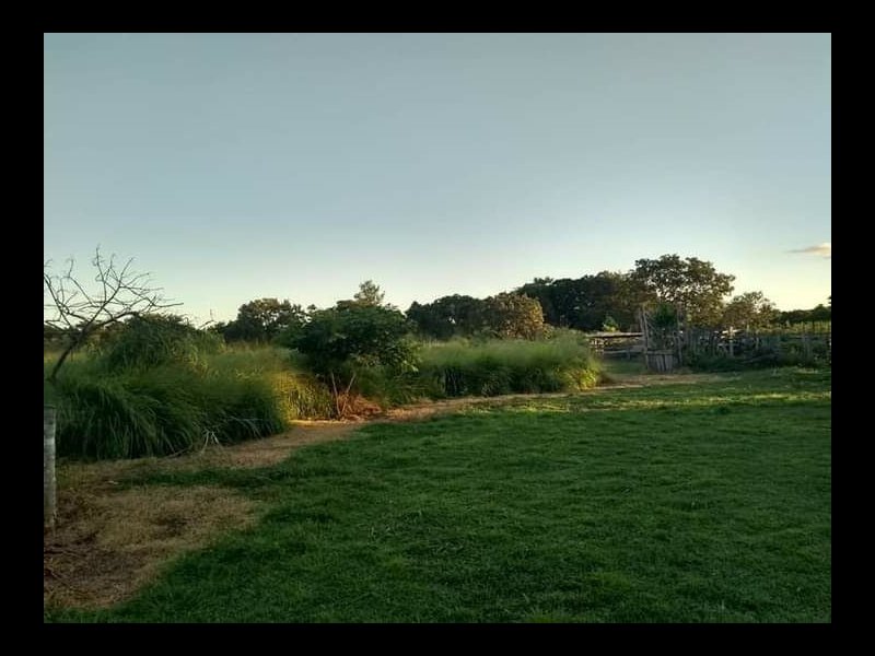 Chácara à venda 500 mts da BR158 com 2600000m² e 1 quarto por R$ 5.000.000 - 2065688730-f7ca9e15-1f9f-4d0d-bdb4-aeb5a866c4b6.jpg