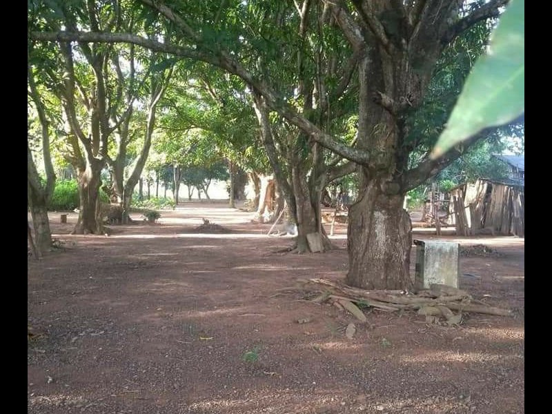 Chácara à venda 500 mts da BR158 com 2600000m² e 1 quarto por R$ 5.000.000 - 551697293-b4c9eba2-af49-4161-8383-5265fa94ea17.jpg