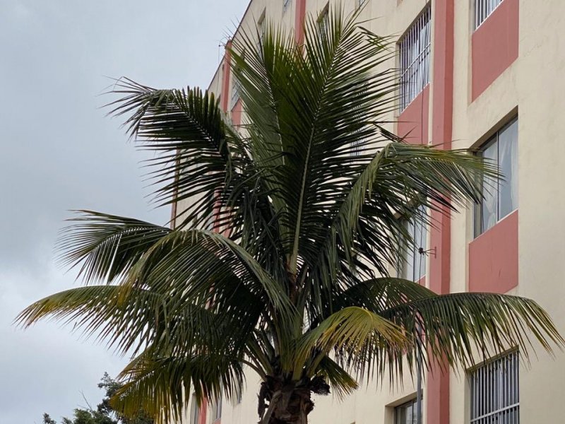 Apartamento à venda Vila São José (Cidade Dutra) com 67m² e 3 quartos por R$ 280.000 - 1622711556-ae2c32b5-ebe7-48dd-bad0-0c73a24c83a1.JPG