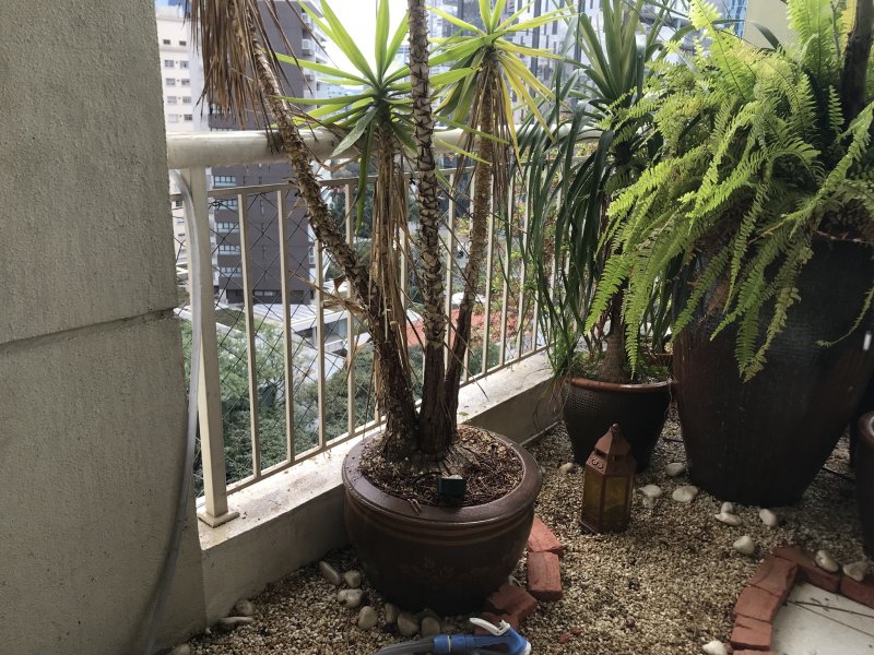 Apartamento à venda Vila Nova Conceição com 78m² e 1 quarto por R$ 1.390.000 - 1323339759-6a5c8168-0694-4e09-b136-db4b51361fc9.jpeg