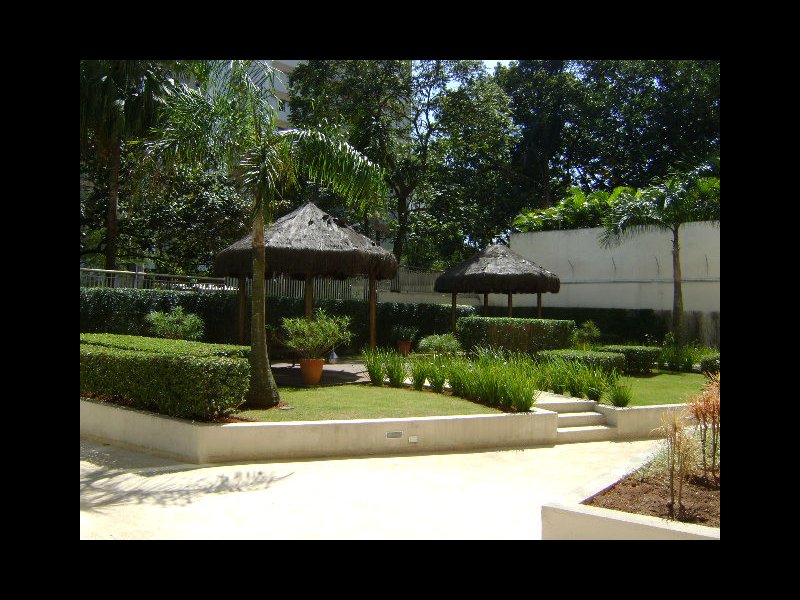 imóvel com 246m² - Vila Sofia - São Paulo