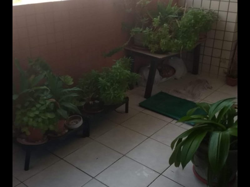 Apartamento à venda Manaíra com 180m² e 5 quartos por R$ 450.000 - 1563711578-d1a229b4-7764-435f-90a6-a80c0b2e697f.jpeg