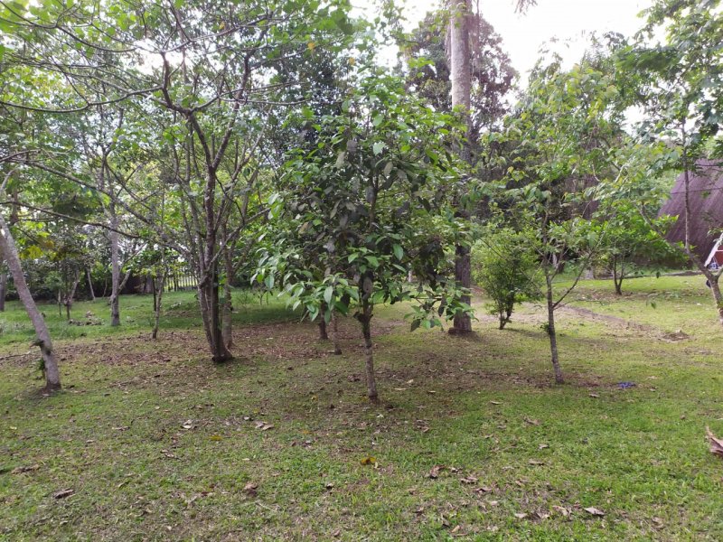 Apartamento à venda Jardim Clube de Campo com 700m² e 4 quartos por R$ 1.200.000 - 1014930716-whatsapp-image-2020-10-11-at-7.jpeg