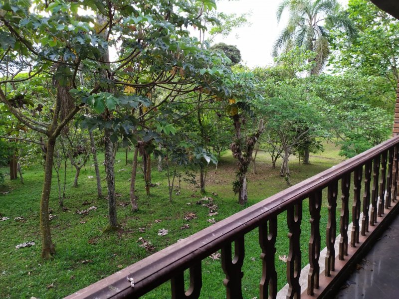 Apartamento à venda Jardim Clube de Campo com 700m² e 4 quartos por R$ 1.200.000 - 718796101-whatsapp-image-2020-10-11-at-7.jpeg