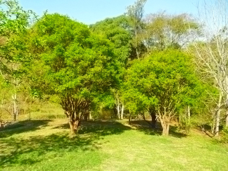 imóvel com 152000m² - Freitas - Sao Jose dos Campos