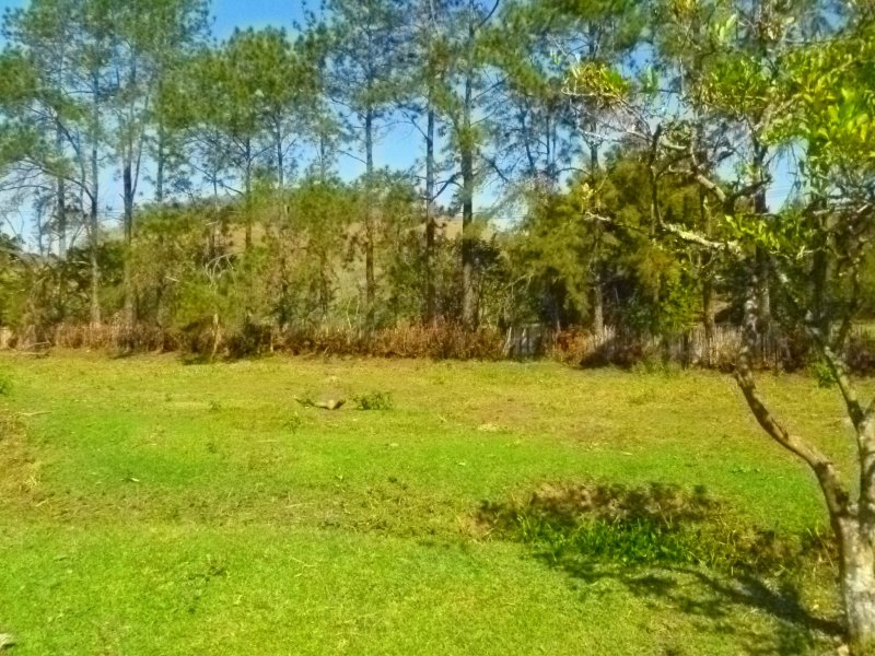 imóvel com 152000m² - Freitas - Sao Jose dos Campos