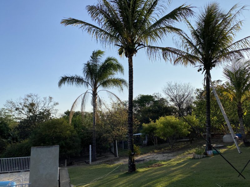 Chácara à venda Chácara dos Pinhais com 4m² e 3 quartos por R$ 750.000 - 1514985361-db72b3b5-ab45-4f68-9514-f812b5431e3f.jpeg