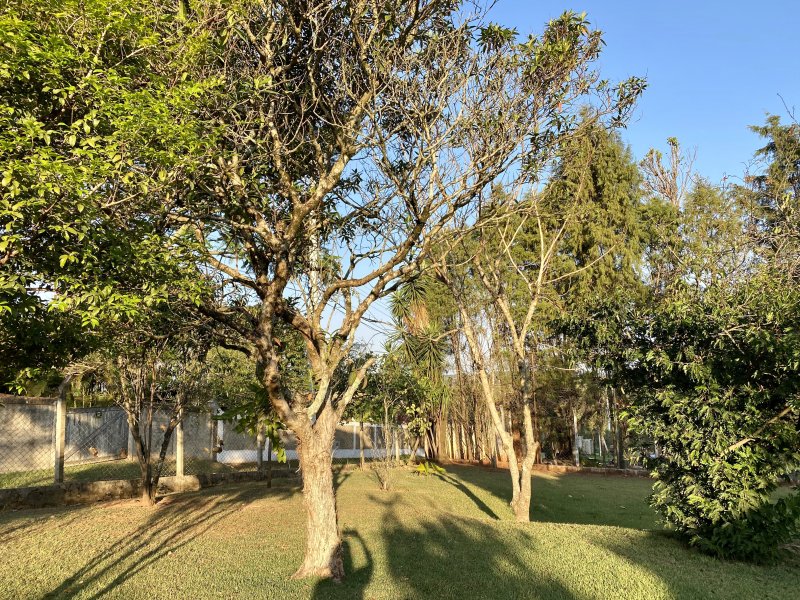 Chácara à venda Chácara dos Pinhais com 4m² e 3 quartos por R$ 750.000 - 1866770253-4581a266-b8e8-4242-94be-a2d8b28e232a.jpeg
