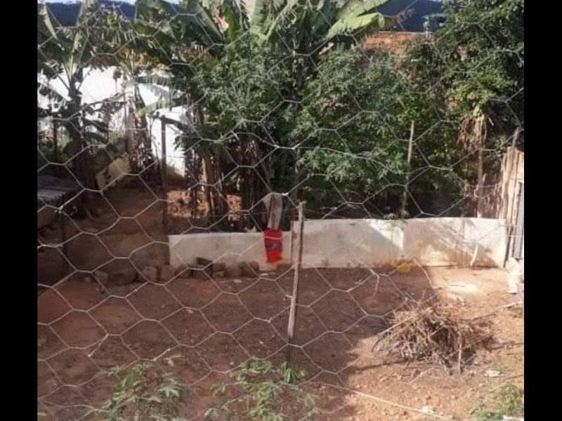Terreno à venda Iolanda com 300m² e  quartos por R$ 110.000 - 252652543-img-20201012-wa0004.jpg
