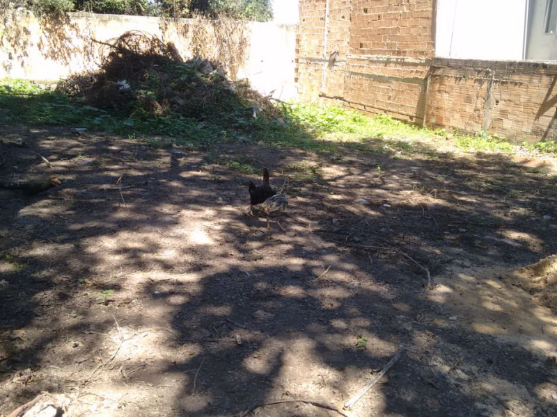 Terreno à venda quintas coloniais com 420m² e 1 quarto por R$ 300.000 - whatsapp-image-2020-10-28-at-180755-1.jpeg