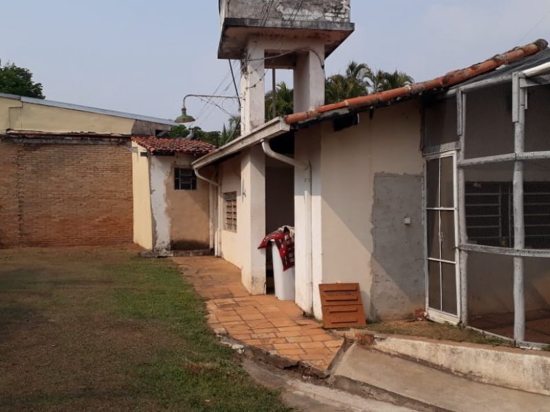 Chácara à venda Saltinho com 1800m² e 4 quartos por R$ 900 - 1048602684-d4e7649f-a583-4f7f-8888-562cbf1b3b41.jpeg
