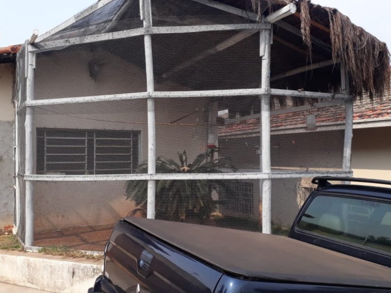 Chácara à venda Saltinho com 1800m² e 4 quartos por R$ 900 - 1693511988-7591cd16-d393-4793-a74c-b6470496b2b2.jpeg